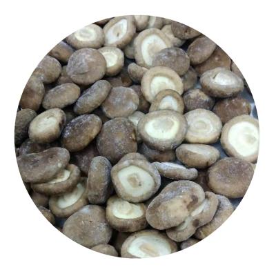 China IQF Shiitake Mushroom FROZEN Whole Mushroom for sale