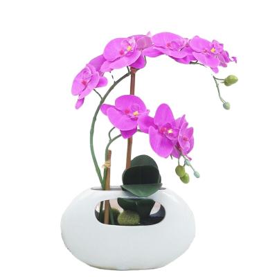 China Latex Real Touch Ltex Orchid Potted Artificial Flower Arrangements For Centerpiece for sale