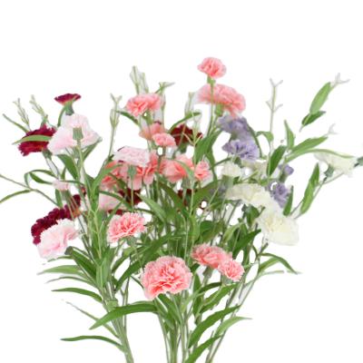 China Mother's Day; decorative flower; Beautiful Gifts Style 6 Head Artificial Flower Silk Carnation Artificial Flowers for sale