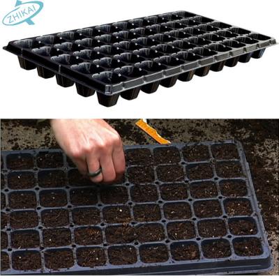 China Cheap Hydroponic Black Plastic Seed Planting Cells Seed Tray For Vegetable for sale