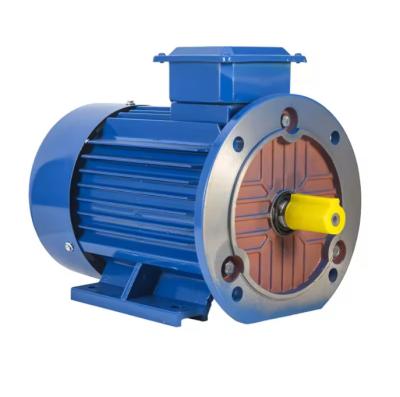 Китай IE3 Three-Phase Asynchronous Motor 55KW IP54 IP55 50HZ 15KW-355KW  318V AC Electric Squirrel Cage Induction Motor продается