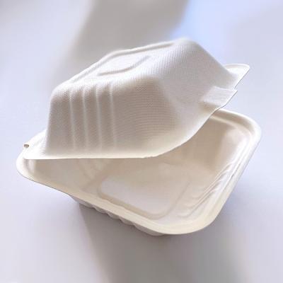 China Disposable compostable disposable tableware dinner biodegradable picnic, candy cane paddle box for sale