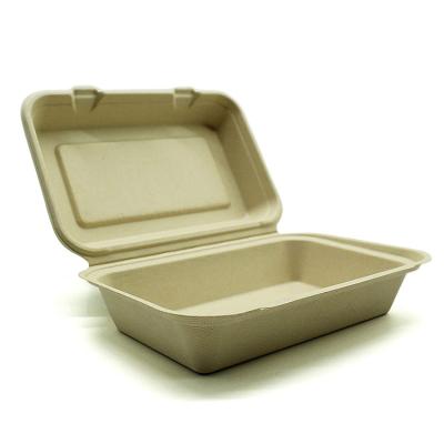 China Factory Customized Recyclable Takeaway Box BIO Quality Square Food Dinner Product Disposable for sale