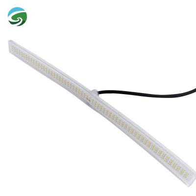 China IP68 Swimming Pool LED Strip Waterproof Underwater Flexible Pool Light 12v 15W for sale