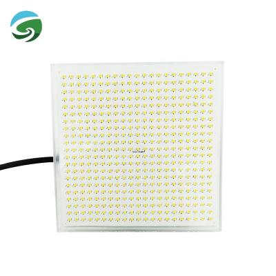 China High Power 60W Flexible DC 12V LED Swimming Pool Light LED Luces de Piscina GR-Flexi LED Pool Light 60W for sale