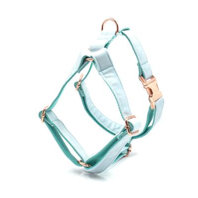 China New Custom Arrive Hot Selling Amazon Pet Harnesses Hot Popular Custom Made Graceful Custom Design Light Blue Velvet No Pull Dog Harnesses for sale