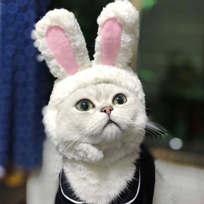 China Best Viable Selling Pet Costume Hat Cheap Cotton Prices Cute Rabbit Ears Wig Cosplay Cute Cosplay Hat For Pet Cats Dogs for sale