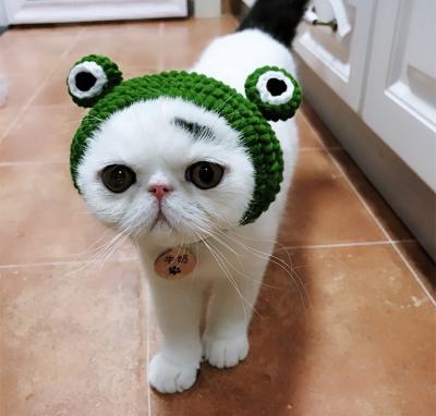 China Amazon green color frog design cute handmade knitted cute knitting pet covers hat headgear headwear for cats dogs for sale