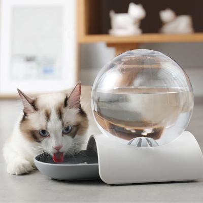 China Automatic Popular Design Pet Drinking Stations Fashion Pet Pompom Cat Water Bowl Basin Dog Supplies Water Feeder for sale