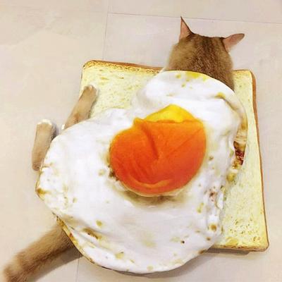 China Lovely Breathable Funny Pet Mats Cat Omelet Mat Cat Mats Omelet Mats Toast Mat Toast Bread Protector Mat Pet Bread Cover Pillow With Egg Blanket To dish for sale