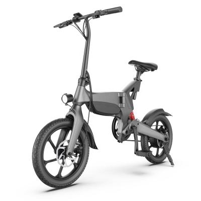 China Magnesium Alloy Price Battery Electric Bicycle Detachable Bicycle 2 Wheel Electric Foldable Bike for sale