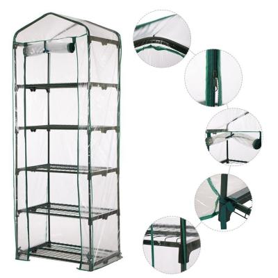 China 5 Tier PVC Gardening House with Steel Tube Frame Dia 16mm and Vinyl Greenhouse Design for sale
