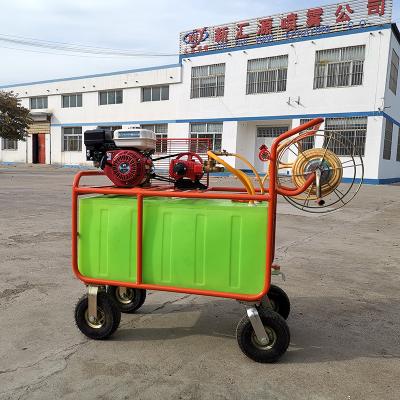 China Agriculture Sprayer Agricultural Environmental Pesticide Orchard Sprayer Gasoline Engine Sprayer Spray Pump for sale