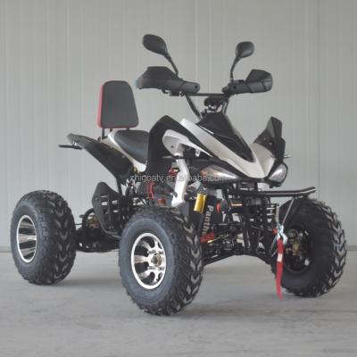 China Hot sale! ! ! 2021 3000w electric atv and electric bicycle for adults powerful safety ZG250-E2 for sale