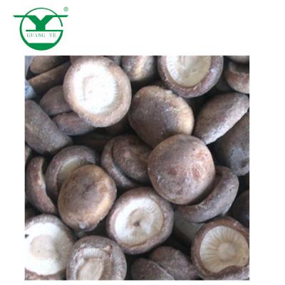 China IQF FROZEN Whole Shiitake Mushroom with Competitive Price for sale