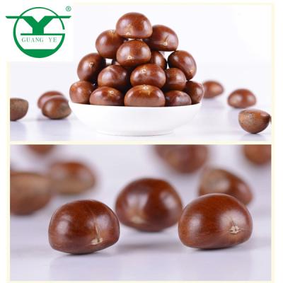 China Chinese Factory Dried Roasted Chestnuts For Sale Vacuum Packed Peeled for sale