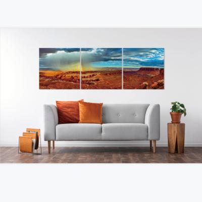 China Modern Home Decoration Modern Wall Art Glossy Matt Finish Painting Acrylic Diy Photo Print for sale