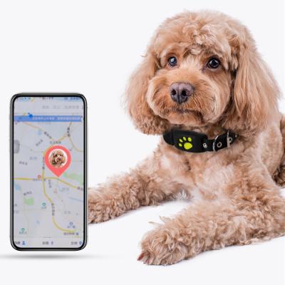 China Viable Collar Tracking Simple Black Explosive Pet Tracker Smart Gps Collar Cute Tracker for sale