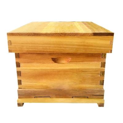 China Unmounted Bee Farm Beekeeping Hives Bee Hive Price for sale