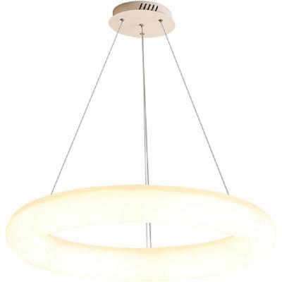 China Creative Modern Minimalist Modern Decoration Bedroom Chandelier Light Personality Ring Indoor Lighting Restaurant Led Lamps Nordic Study Pendant Lamp for sale