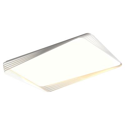 China Whole house voice-activated smart lighting restaurant ceiling light outdoor mounted home modern minimalist lamp for sale