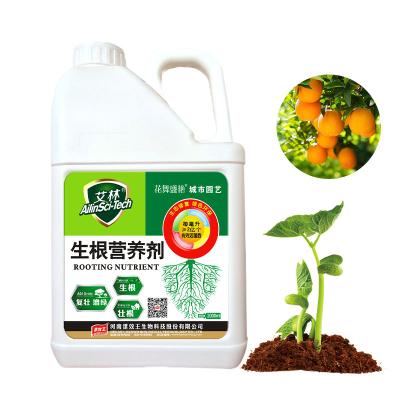 China 10% K2o Potassium Humate Fertilizer For Horticultural Plants Root Growth for sale