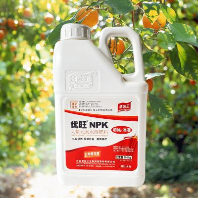 China NPK 15 15 15 Water Soluble Fertilizer 12-10-18 Composite Fertilizer NPK Liquid Fertilizer For Plant Growth for sale