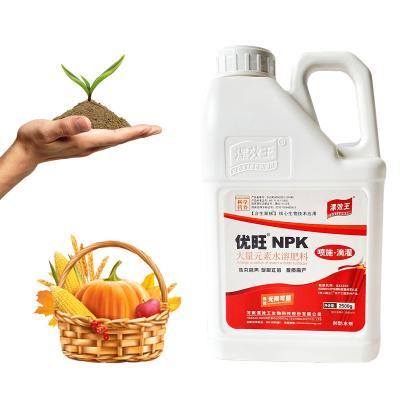 China NPK 19 19 100% Water Soluble NPK Organic Fertilizer Agricultural Liquid for sale