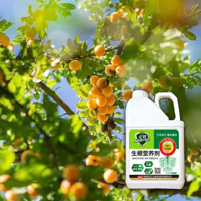 China Liquid Universal Type Vigor Element Plant Root Fertilizer Plant Nutrient for sale