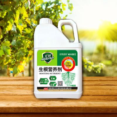 China Alginate Plant Roots Seaweed Extract Fertilizer To Promote Plant Growth for sale