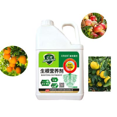 China Soil Improver Plant Growth Booster Nutrient Enhancer for sale