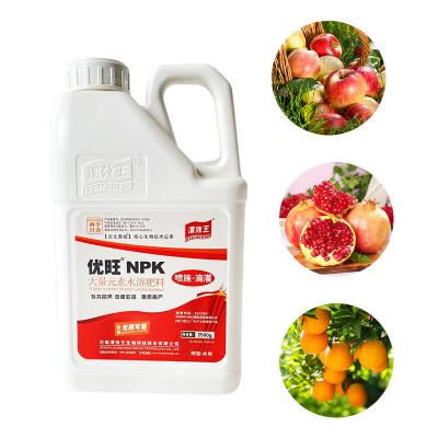 China 19-19-19 100% NPK Water Soluble Fertilizer Liquid Agriculture for sale