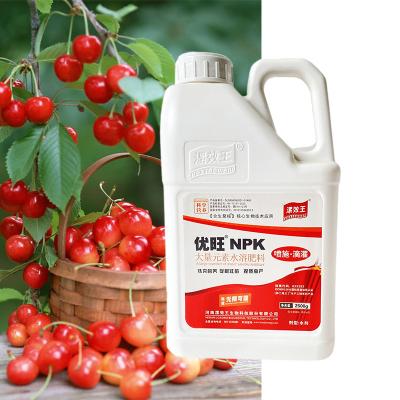 China NPK 19-19-19 Water Soluble NPK Vegetable And Fruit Fertilizer for sale