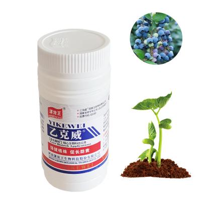 China Agricultural Organic Humic Acid Fertilizer Promote Nutrient Assimilation for sale