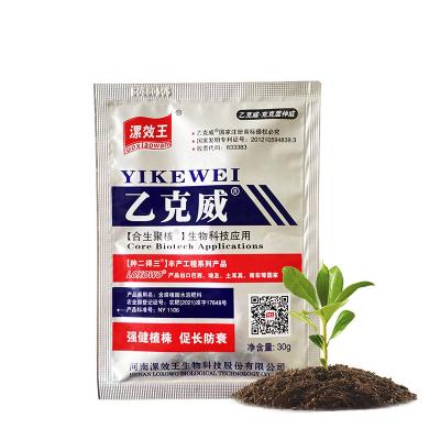 China Organic Humic Acid Fertilizer Water Soluble Foliar Drip Irrigation Agricultural Vegetables Fruit Trees for sale