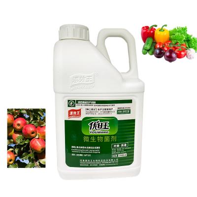 China Water Soluble Microbial Liquid Organic Fertilizer For Promoting Growth And Soil Conditioner for sale