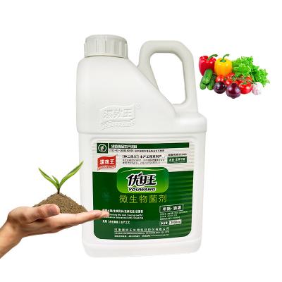 China Root Microbial Inoculant Organic Fertilizer Advanced Liquid Soil Conditioner for sale