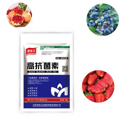 China Slow Release Blended Fertilizer Plant Nutrient Humic Acid Granules For NPK Urea Blend Fertilizer for sale