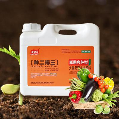 China 5kg Affordable Water Soluble Lawn Fertilizer Promote Plant Health for sale