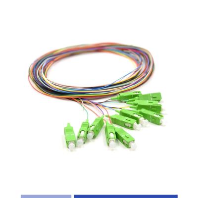 China Singlemode OS2 SC APC Pigtails 12 Fibers LSZH 3m For FTTH Solutions for sale