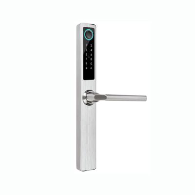 China Door Locks Digital Swipe Key Smart Electronics Hotel Apartments Office Stainless Steel Doors and Windows Home Smart Fingerprint for sale