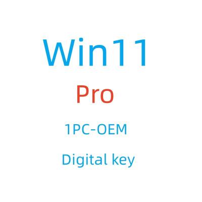 China Win 11 Win 11 Pro Win 11 Professional OEM License 1 PC Genuine Online Win 11 Activation Key 100% OEM Win 11 Pro Pro for sale