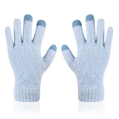 China Touch Screen Gloves Winter Unisex Adult Gloves Men With Hair Thickening Gloves Warm Recycling OEM for sale