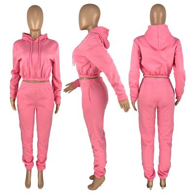 China Clothing 2021 Breathable Crop Winter Hoodies Custom Women's Fleece Top Thick Cotton 2 Two Piece Pants Set Jogging Sweatpants And Hoodie Set for sale