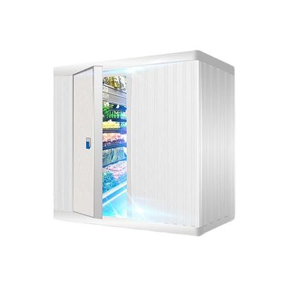 China RUIXUE Hotels Small Blast Freezer Cold Room Air Chicken Blast Freezer Freezer Room for sale