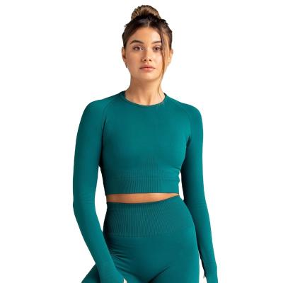 China Women Fitness Clothing Anti-UV Ladies 2 Pieces High Waist Long Sleeves Yoga Seamless Set for sale