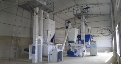 China Make Biomass Pellets Pellet Burners Wood Pellets Burners Canteen Fuel Pellet Mill Machine Production Line for sale