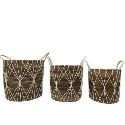 China Sustainable Banana Leaf Wicker Basket Woven Storage Basket With Handle for sale