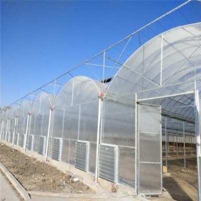 China High strength multispan greenhouse for peppers for sale