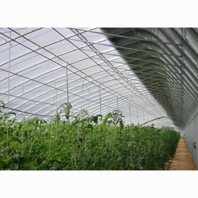 China High Quality PC Sheet China Heating Greenhouse For Russia Market for sale